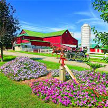 26092 History and Culture in Amish Country