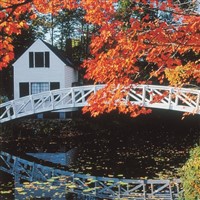 25076 New England Fall Foliage