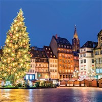 25087 Rhine River Christmas Markets